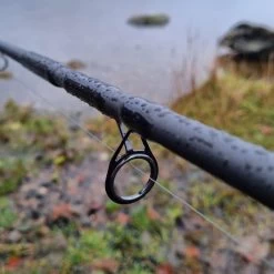 Daiwa Black Widow Deadbait Rods -Fishing Finesse Finds 0mcoc20c638037749376916553