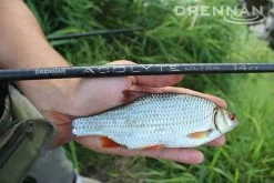 Drennan Acolyte Ultra 14ft Float -Fishing Finesse Finds 1381854544 10