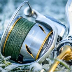 Daiwa 21 Freams LT Reels -Fishing Finesse Finds 13m2iqok638068063445212107