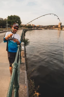 Fox Rage Street Fighter Drop N Jig Rod -Fishing Finesse Finds 1lcpkrik637380961103912735