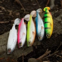 Savage Craft Shad Mix Pack 18 Savage Craft Shad Mix Pack -Fishing Finesse Finds 1ny2u5mz637927817223915822