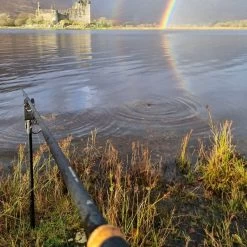 Daiwa Black Widow Deadbait Rods -Fishing Finesse Finds 1p0fx1fq638037749376916553