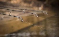 Wychwood Extremis Carp Rods -Fishing Finesse Finds 23q00aas636873768888283975