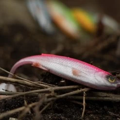 Savage Craft Shad Mix Pack 20 Savage Craft Shad Mix Pack -Fishing Finesse Finds 30ovtgko637927817223915822