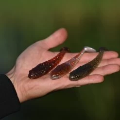 Savage Gobster Shad Packs -Fishing Finesse Finds 3jgjbe4m637927863174025890