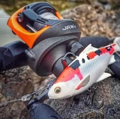 Fishing Finesse Finds -Fishing Finesse Finds 51liu2in637516803313994036