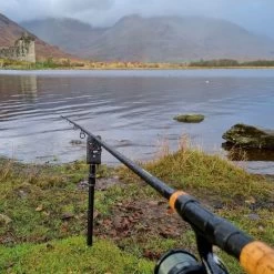 Daiwa Black Widow Deadbait Rods -Fishing Finesse Finds 5ulcahz1638037749376916553