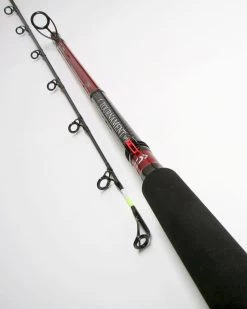 Daiwa Tournament Uptide Rods -Fishing Finesse Finds a3utlwer636462706774608927