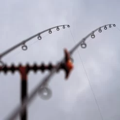 Guru N-Gauge Specimen Dual Tip Rods -Fishing Finesse Finds b2vhwjmg638089600291664940