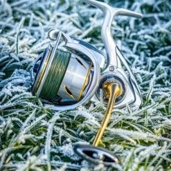 Daiwa 21 Freams LT Reels -Fishing Finesse Finds d2fyqp2j638072340011646875