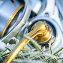 Daiwa 21 Freams LT Reels -Fishing Finesse Finds frntjc1i638068063445212107