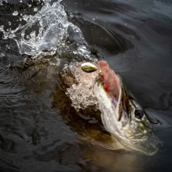 Fox Rage Spinners -Fishing Finesse Finds ha5ctlzx637562462210393913