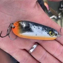 Rapala Nauvo Lures -Fishing Finesse Finds hdnta1yb638121443163355229