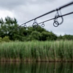 Daiwa Vertice Carp Rods -Fishing Finesse Finds jtdburfa637835455207995648