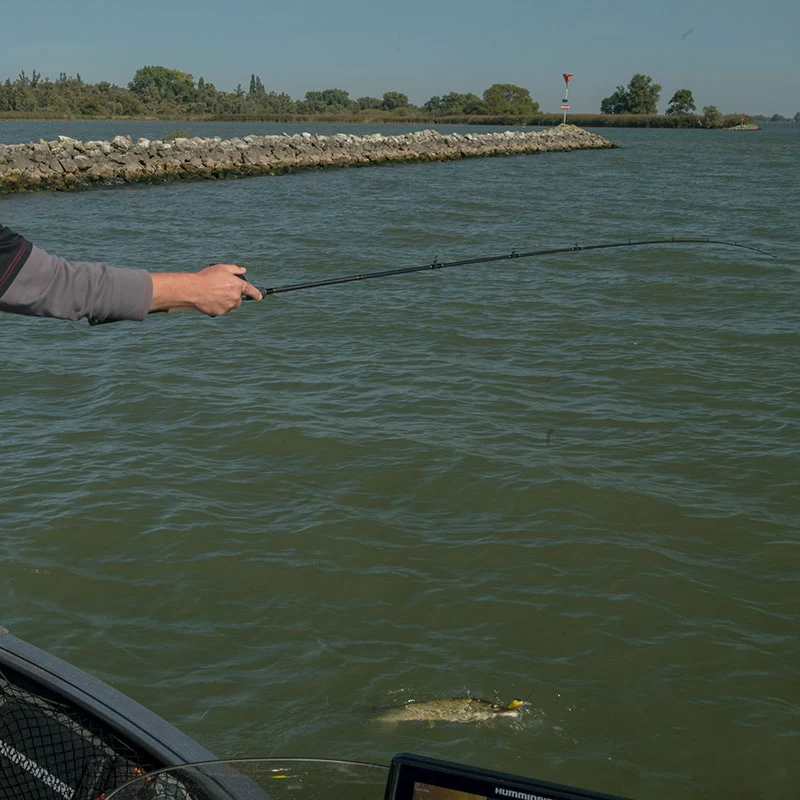 Fox Rage Terminator Versatile Casting Rods 7 Fox Rage Terminator Versatile Casting Rods - Image 5