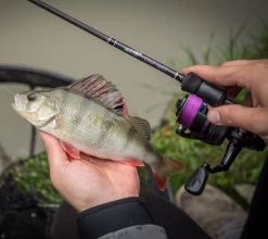 Wychwood Agitator Series 1 Reels -Fishing Finesse Finds leeptxym637133839365795095