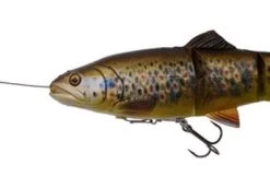 Savage 4D Line Thru Trout -Fishing Finesse Finds pncpxxob636352789901258575