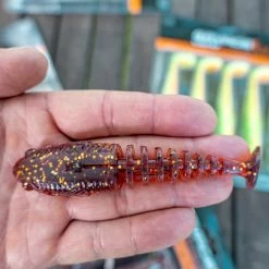 Savage Gobster Shad Packs -Fishing Finesse Finds rwxqy41v637927857462664442