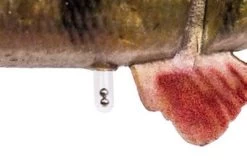 Savage 4D Line Thru Perch -Fishing Finesse Finds sbidfu1h636353612522841337