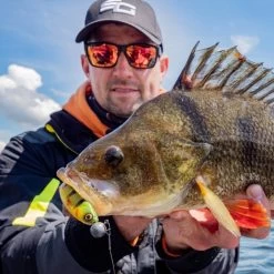 Savage Craft Shad Mix Pack 24 Savage Craft Shad Mix Pack -Fishing Finesse Finds sk0qji0k638107642732734679