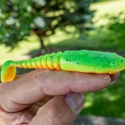 Savage Gobster Shad Packs -Fishing Finesse Finds tppg11kg637927857462664442