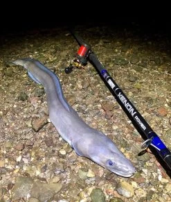 TronixPro Xenon Power Rod 13ft 8in -Fishing Finesse Finds u32b5cyu636846343755425733