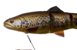 Savage 4D Line Thru Trout -Fishing Finesse Finds wwo12mys636352789901258575