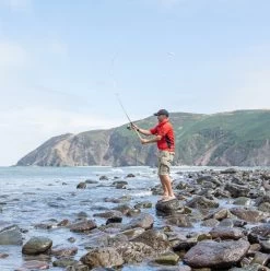 Daiwa Ninja Tele Spinning Rods -Fishing Finesse Finds xauncusa637961664685991908