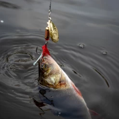 Fox Rage Spinners -Fishing Finesse Finds xnmsngyv637562462210393913